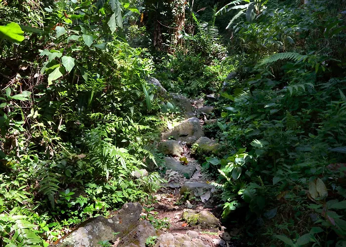 Mimpi Hotel